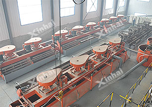 flotation cell