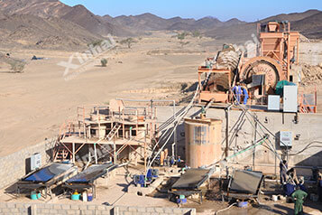 Xinhai Sudan 500t/d Gold Project11