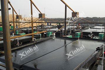 Xinhai Fujian 2000 t/d Wolframite Project21